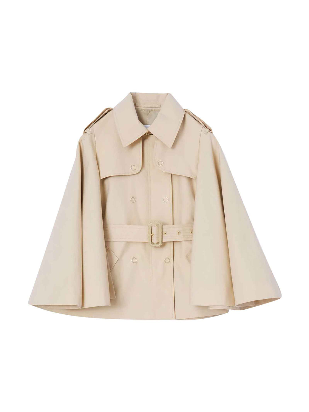 BURBERRY KIDS 8047976A7405