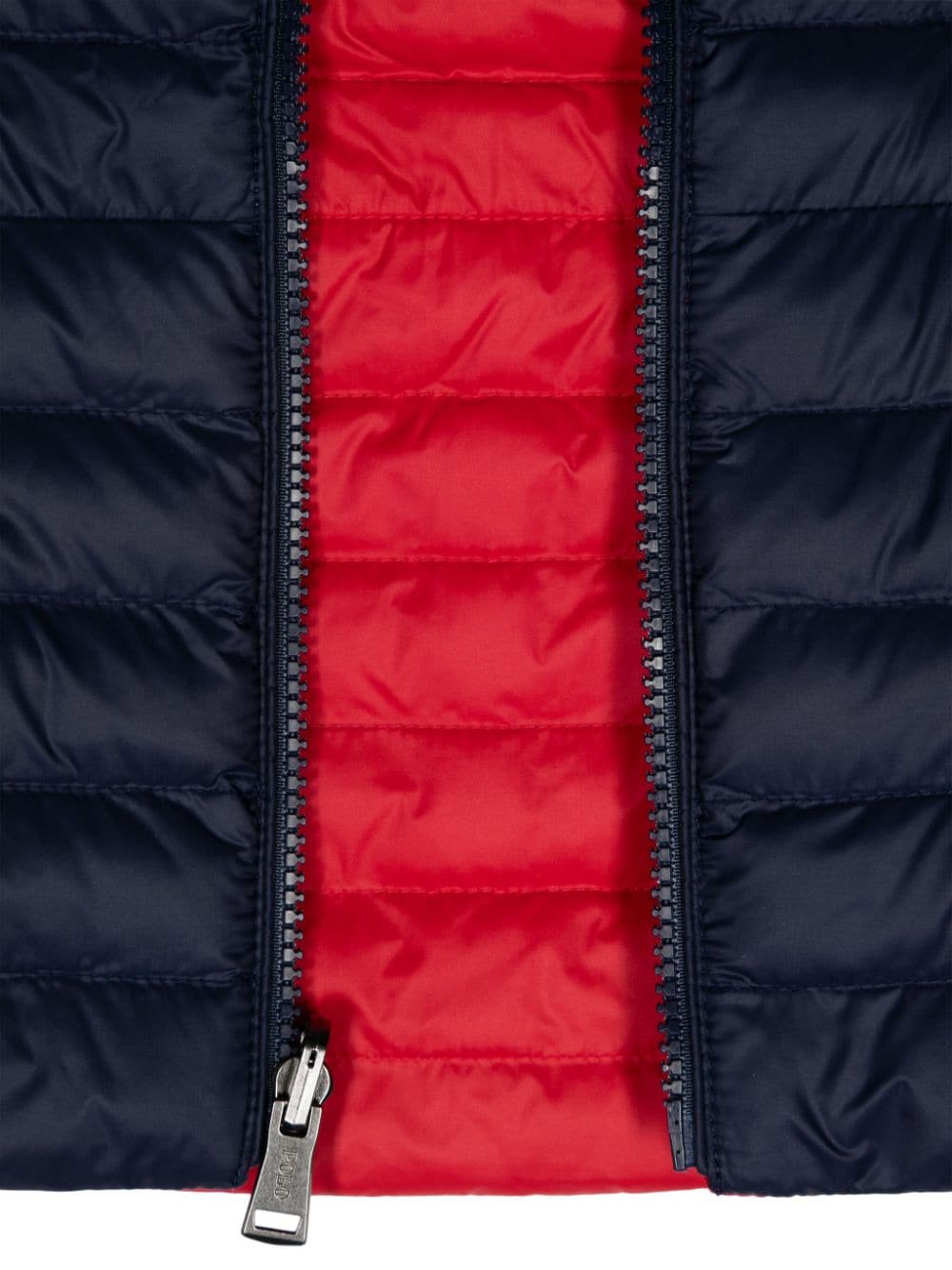 Gilet blu navy neonato