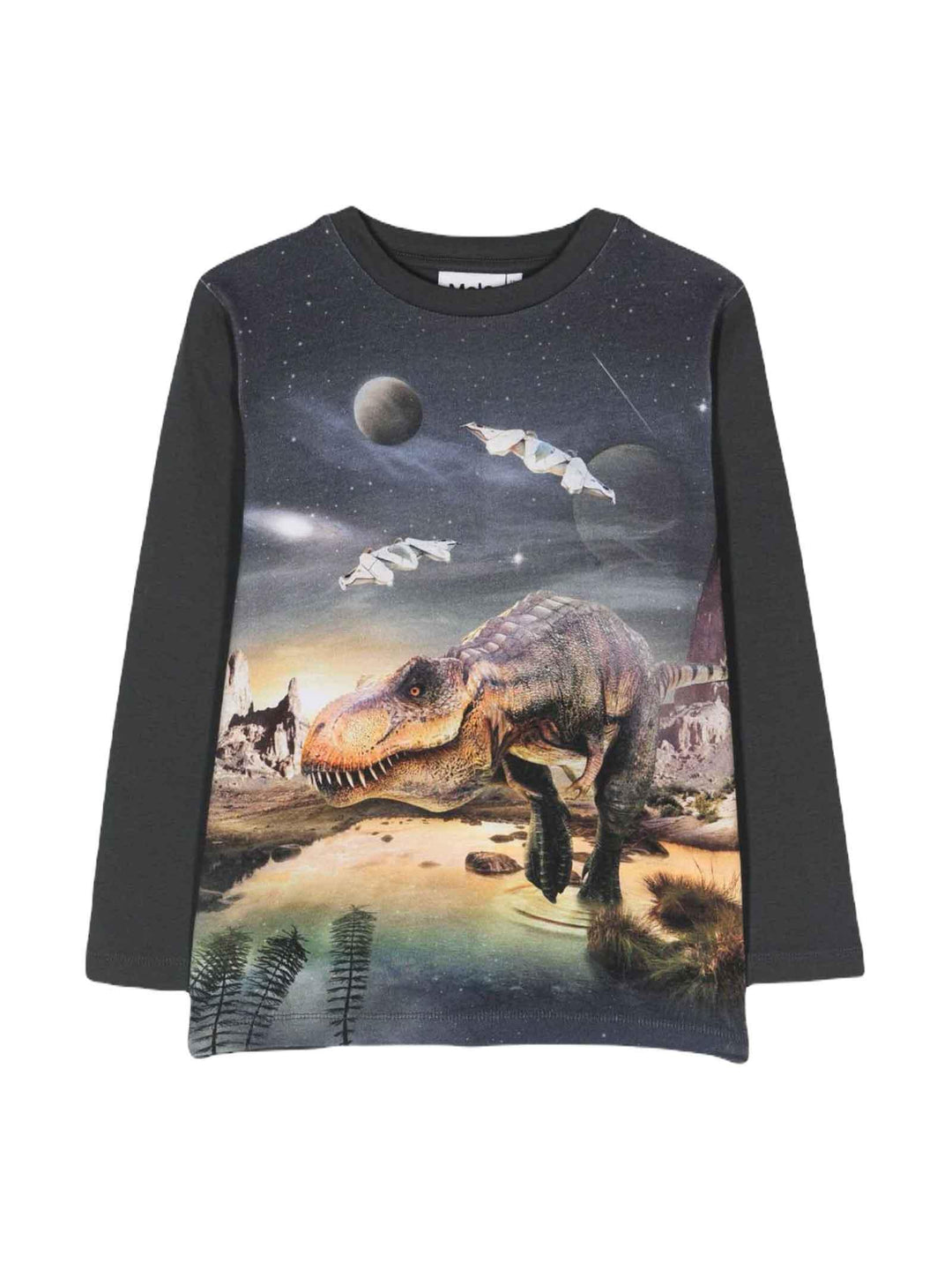 Felpa grigia bambino con stampa